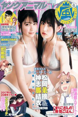 精忠岳飞演员表名单