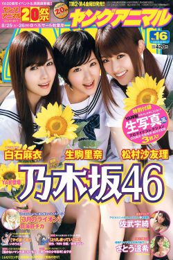 4P轮换爽舒服